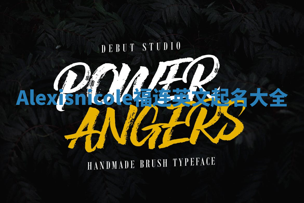 Alexisnicole福连英文起名大全