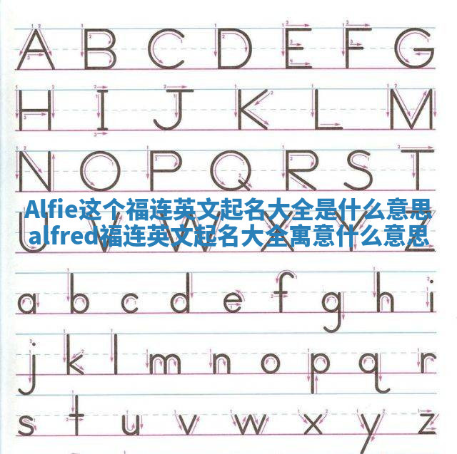 Alfie这个福连英文起名大全是什么意思 alfred福连英文起名大全寓意什么意思
