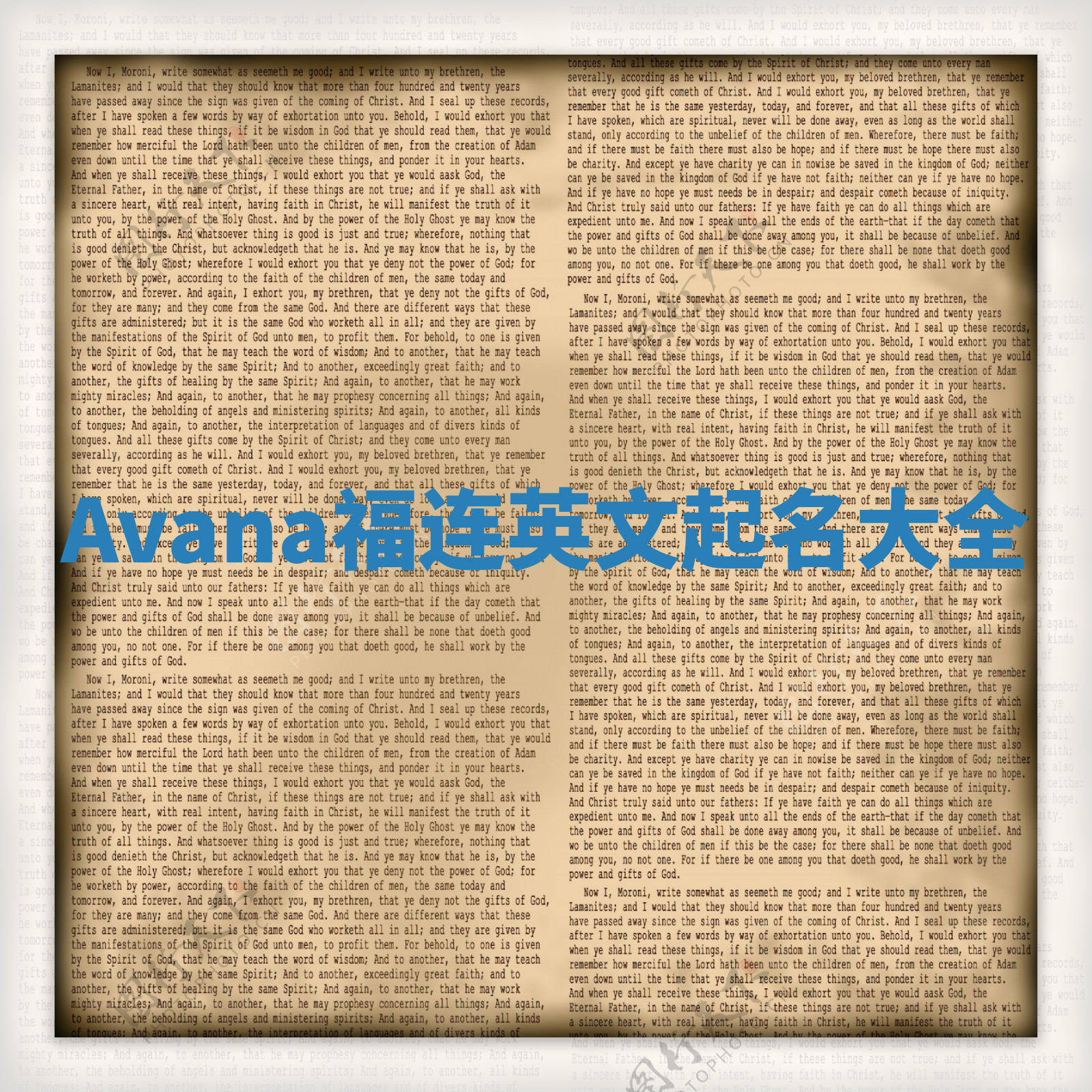 Avana福连英文起名大全