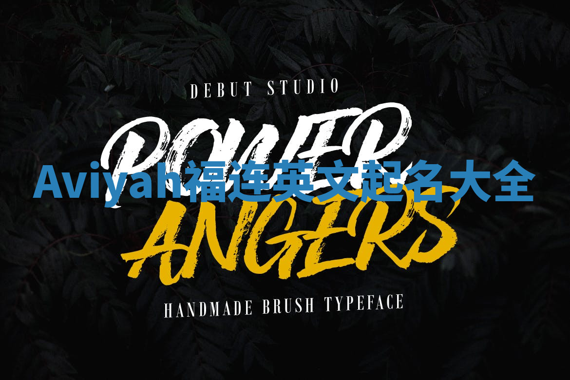 Aviyah福连英文起名大全
