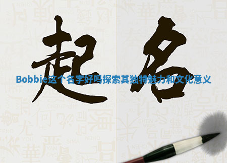 Bobbie这个名字好吗探索其独特魅力和文化意义