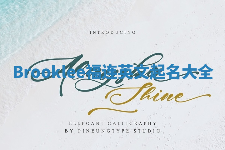 Brooklee福连英文起名大全