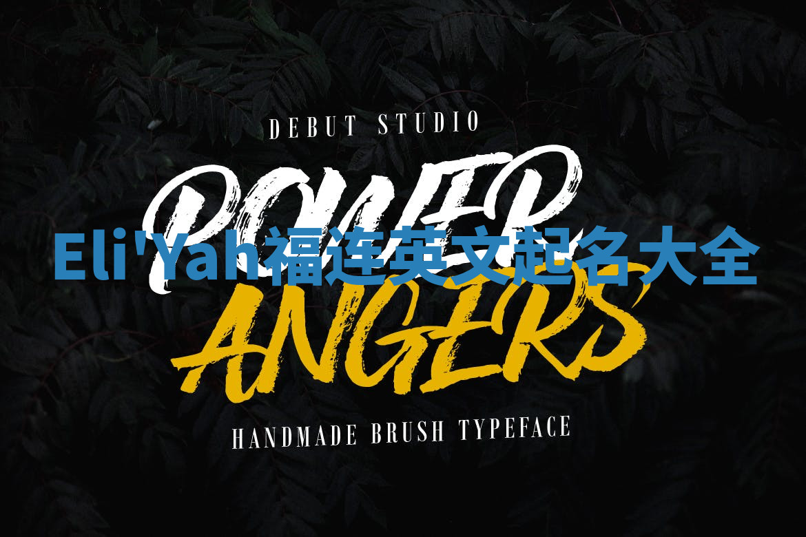 Eli'Yah福连英文起名大全