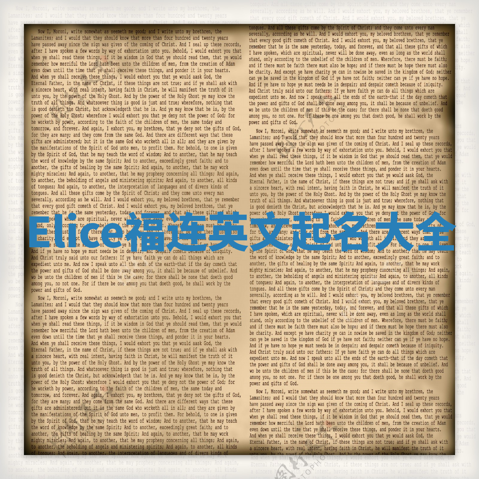 Elice福连英文起名大全