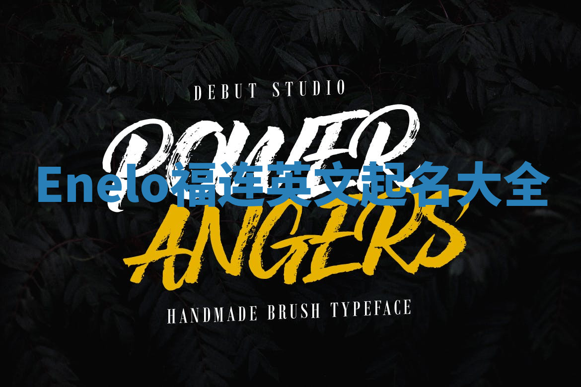 Enelo福连英文起名大全