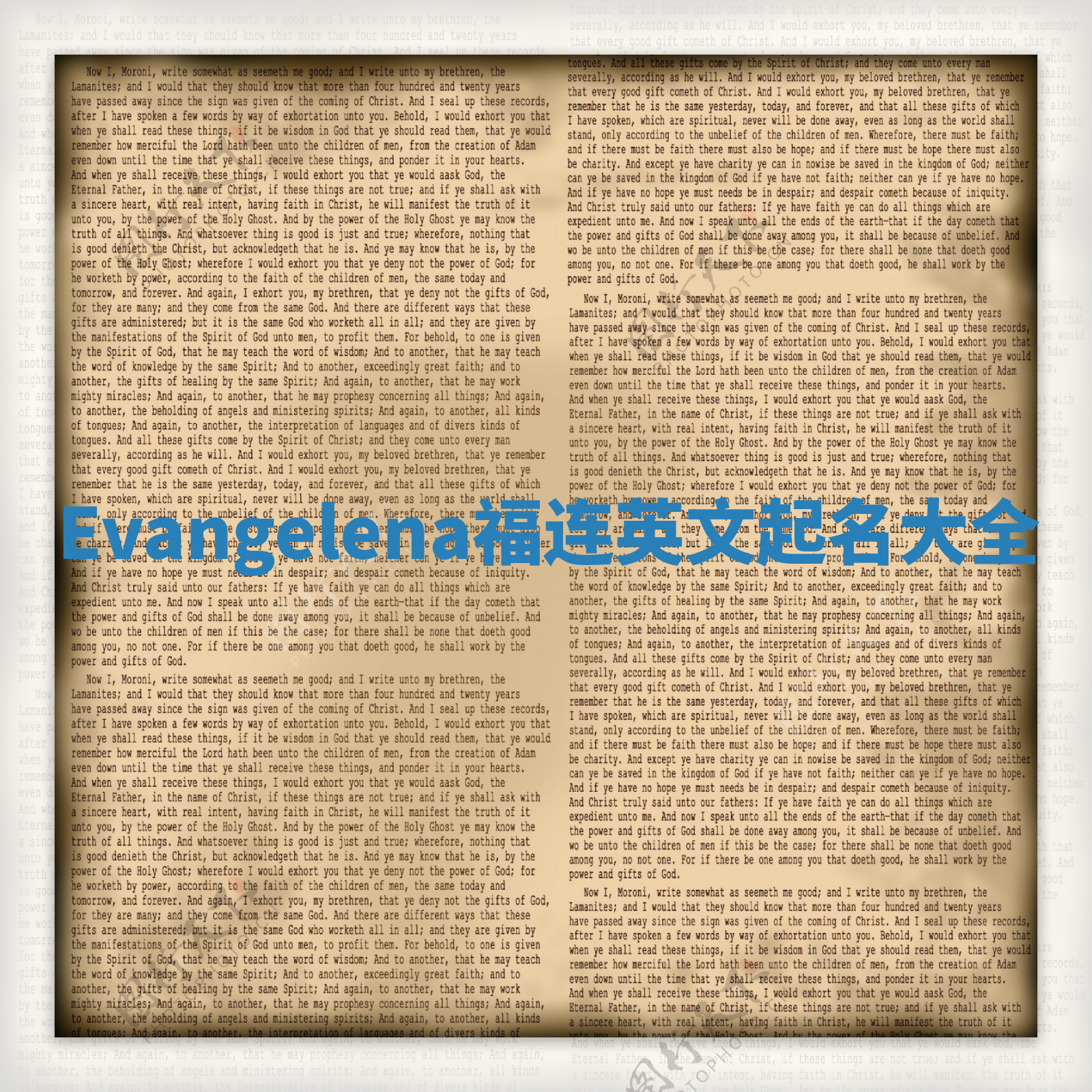 Evangelena福连英文起名大全