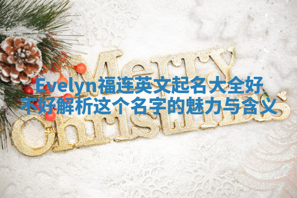 Evelyn福连英文起名大全好不好 解析这个名字的魅力与含义