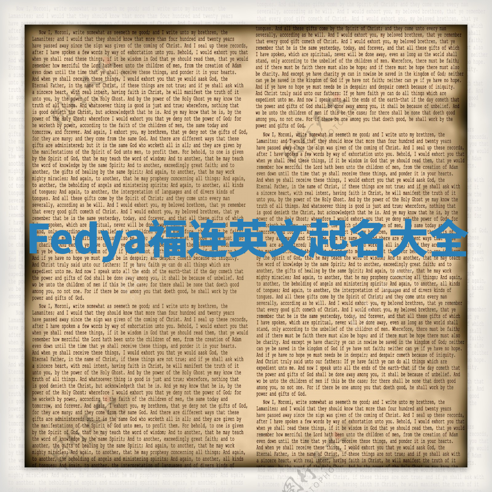 Fedya福连英文起名大全