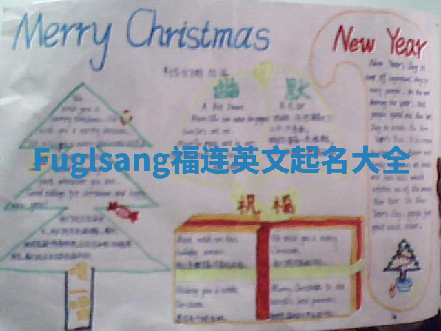 Fuglsang福连英文起名大全