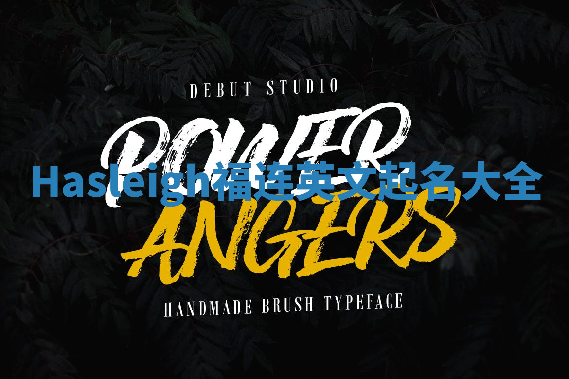 Hasleigh福连英文起名大全