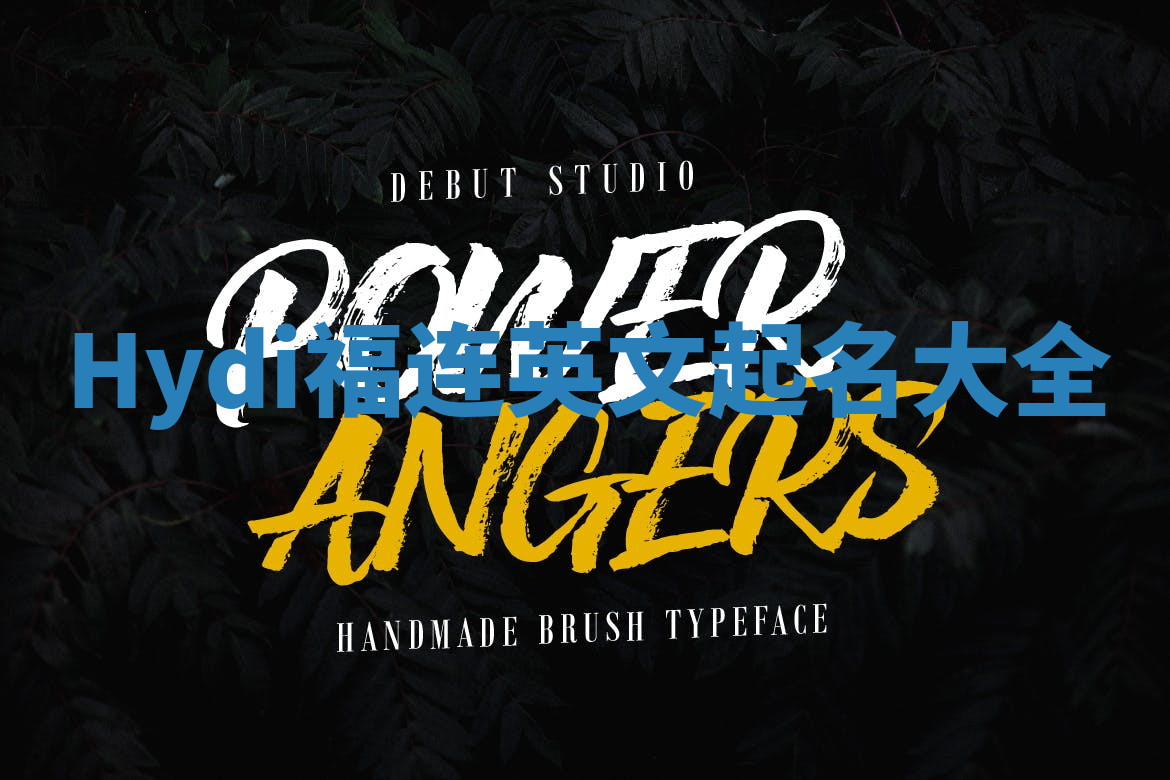 Hydi福连英文起名大全