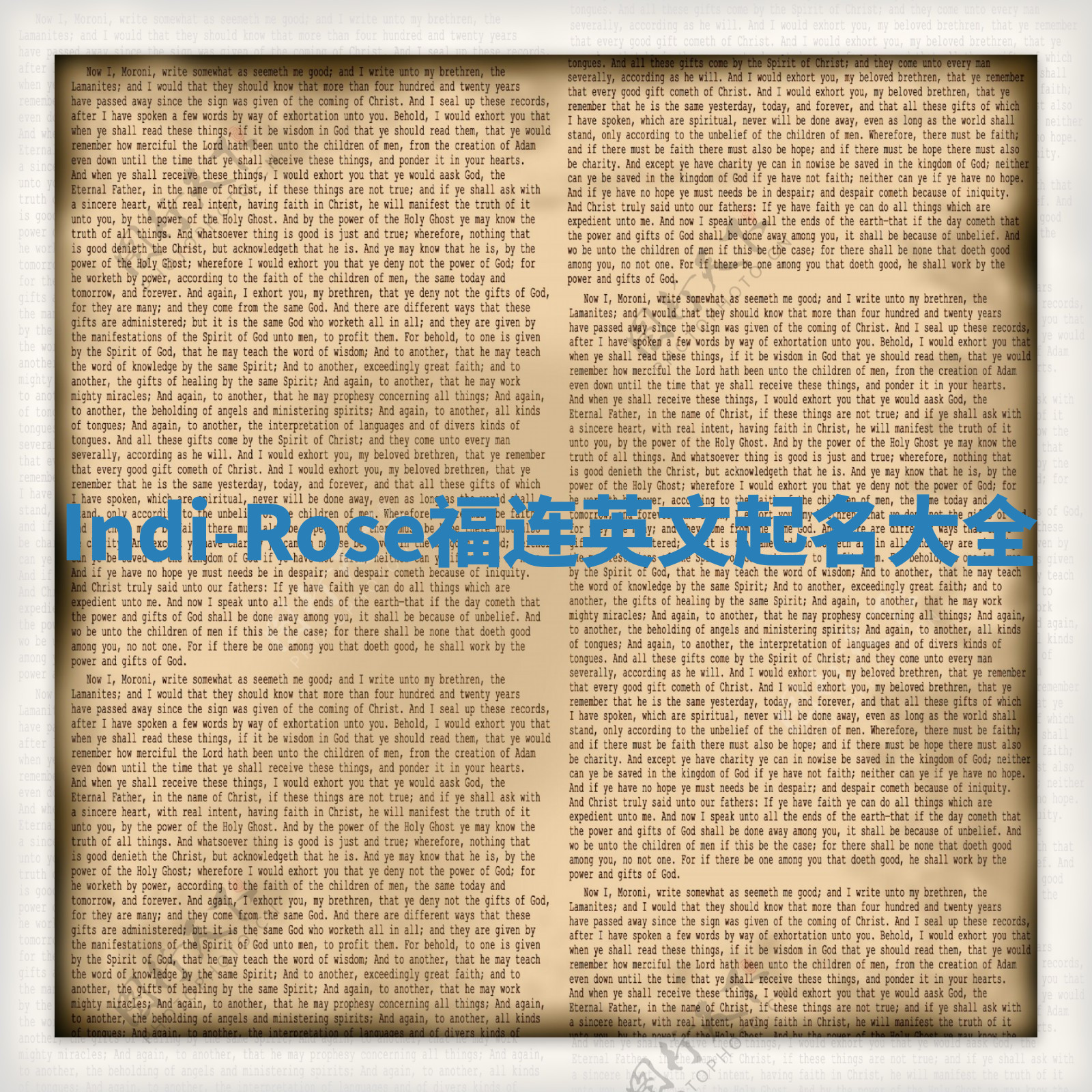 Indi-Rose福连英文起名大全