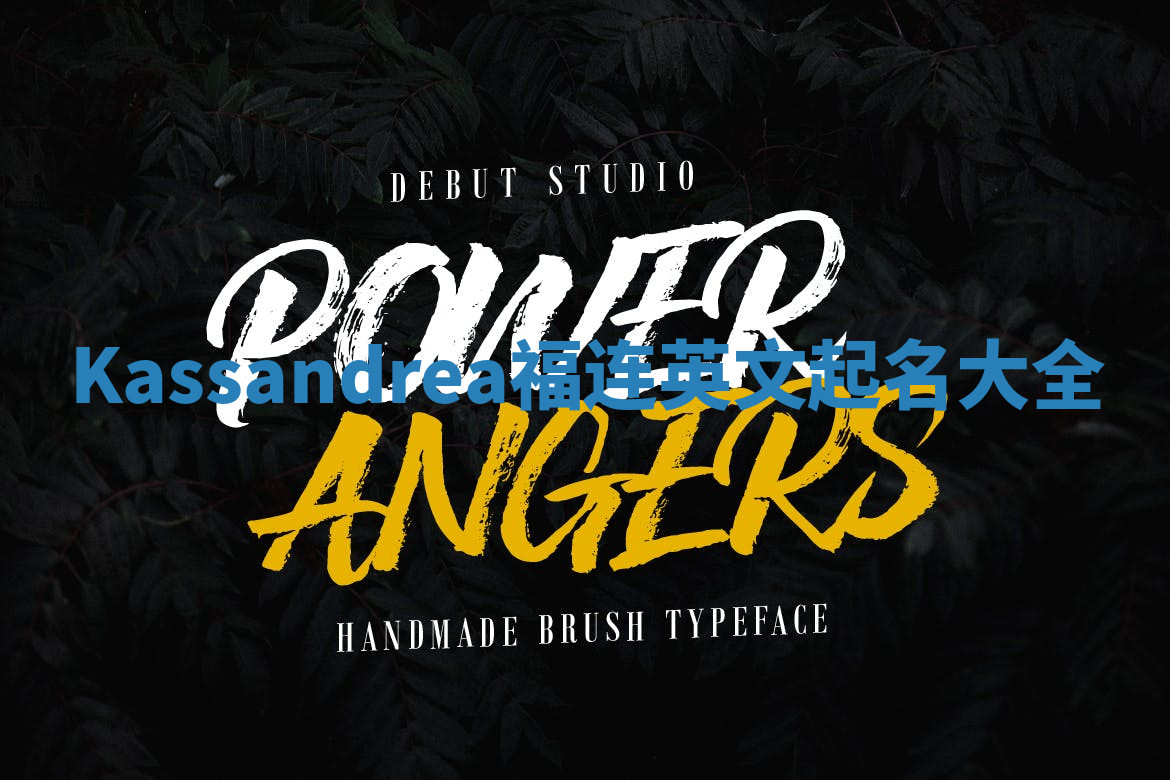 Kassandrea福连英文起名大全