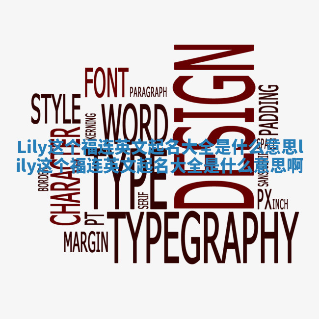 Lily这个福连英文起名大全是什么意思 lily这个福连英文起名大全是什么意思啊