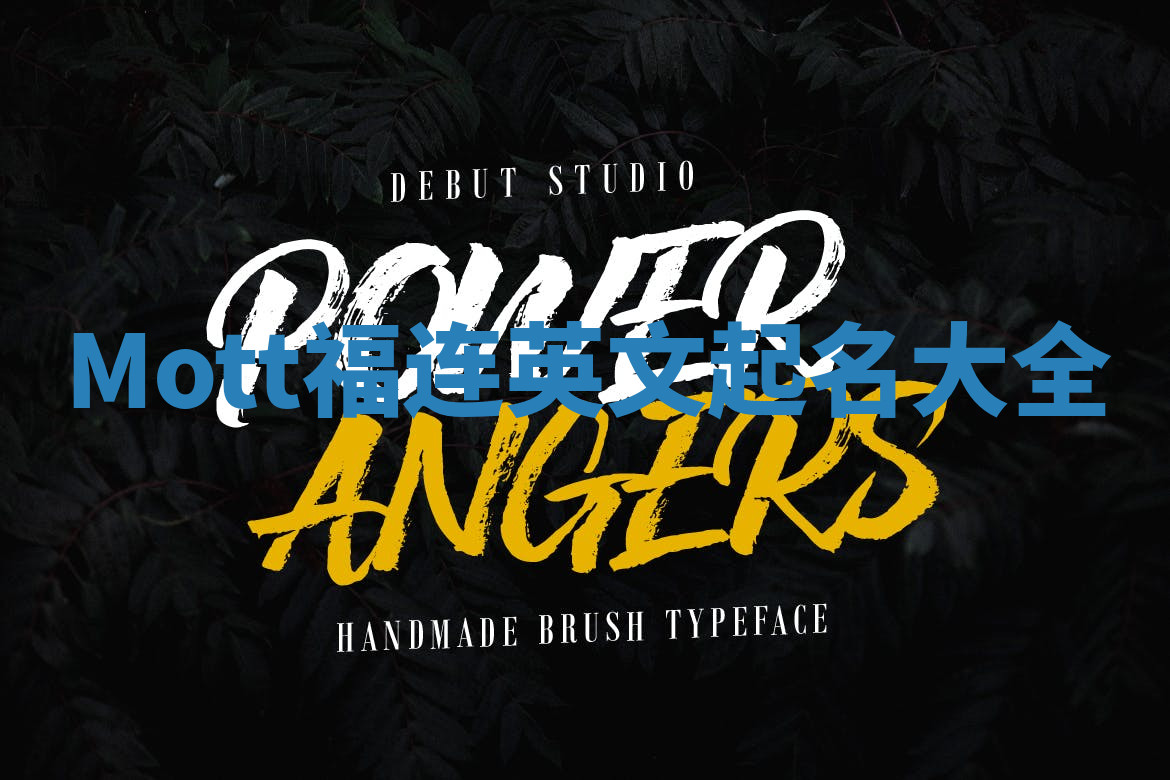 Mott福连英文起名大全