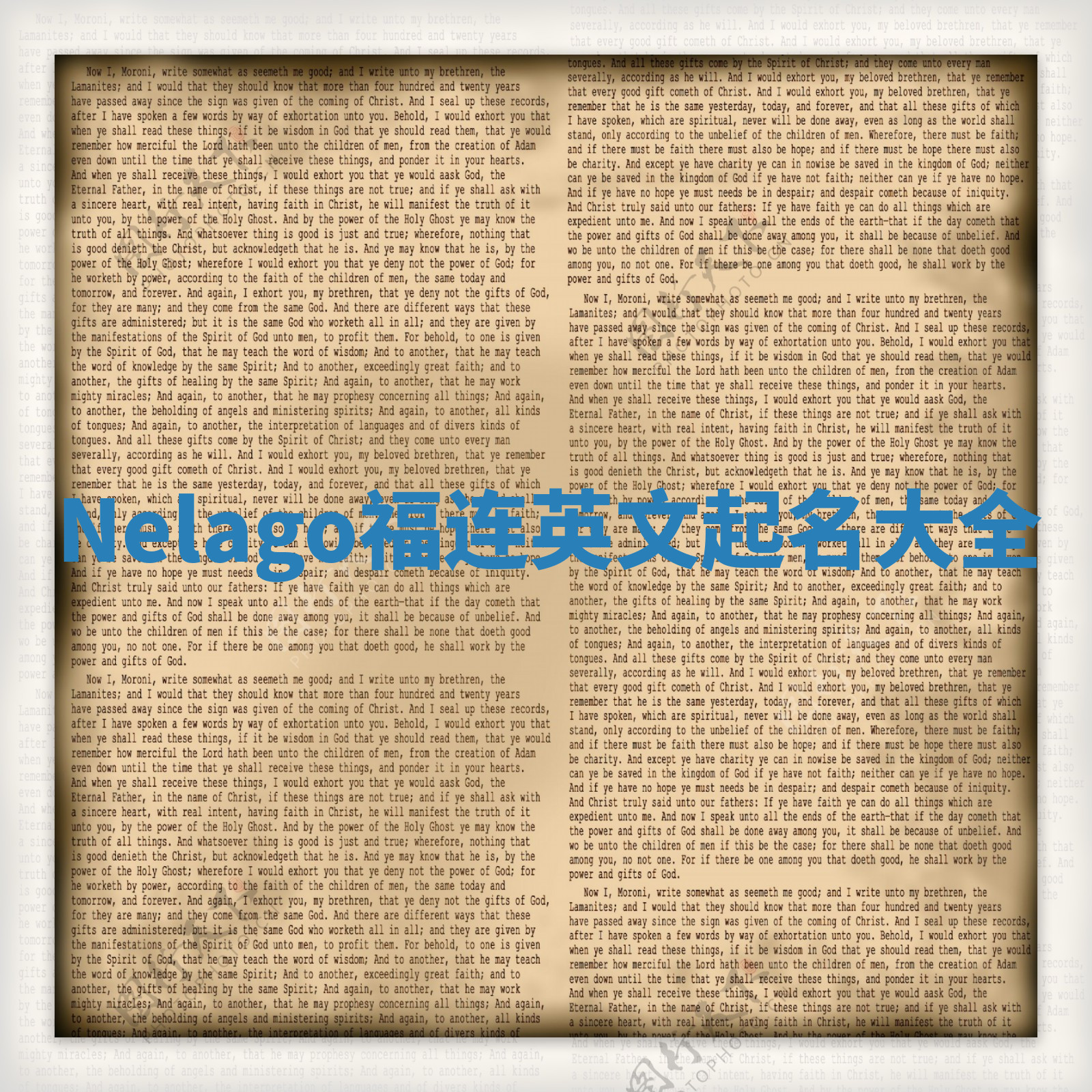Nelago福连英文起名大全