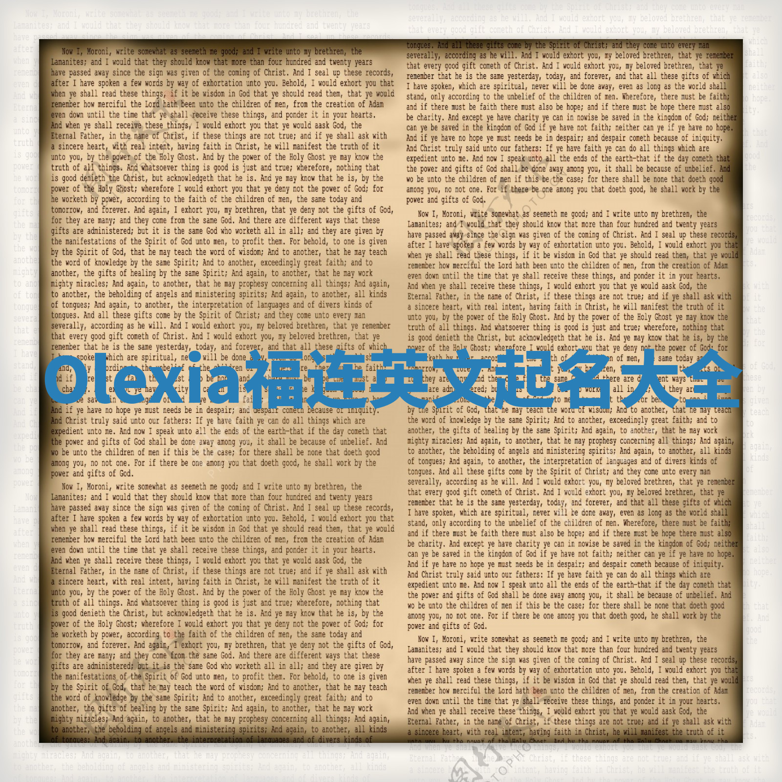 Olexia福连英文起名大全