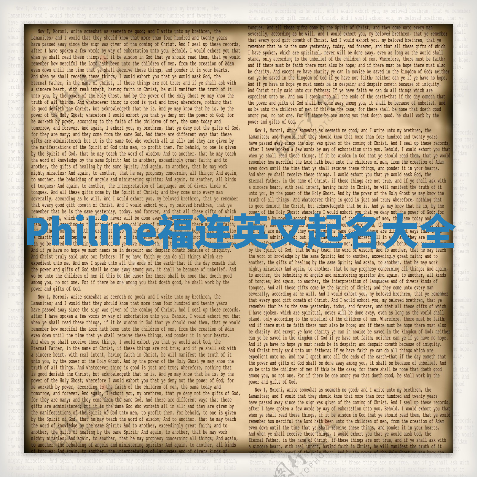 Philine福连英文起名大全