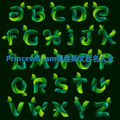 Princewilliam福连英文起名大全