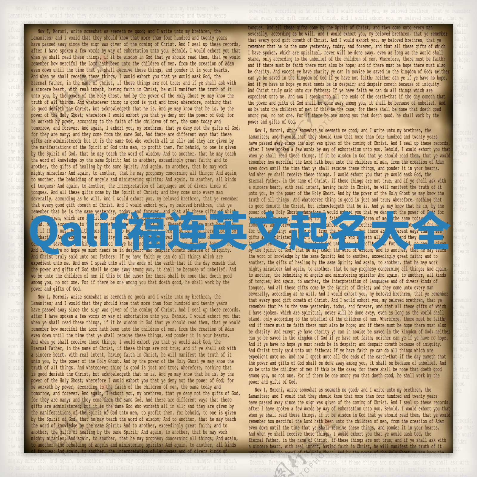Qalif福连英文起名大全