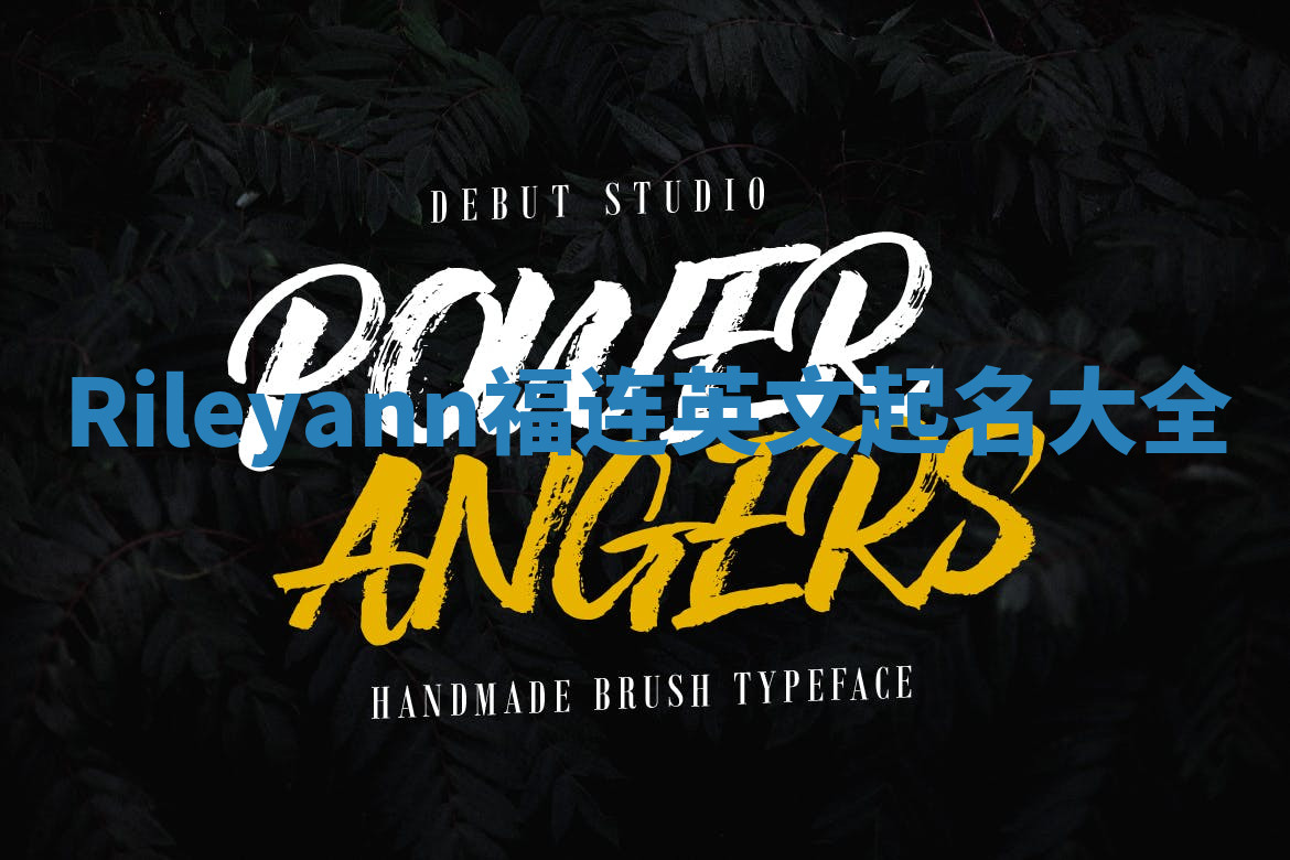 Rileyann福连英文起名大全