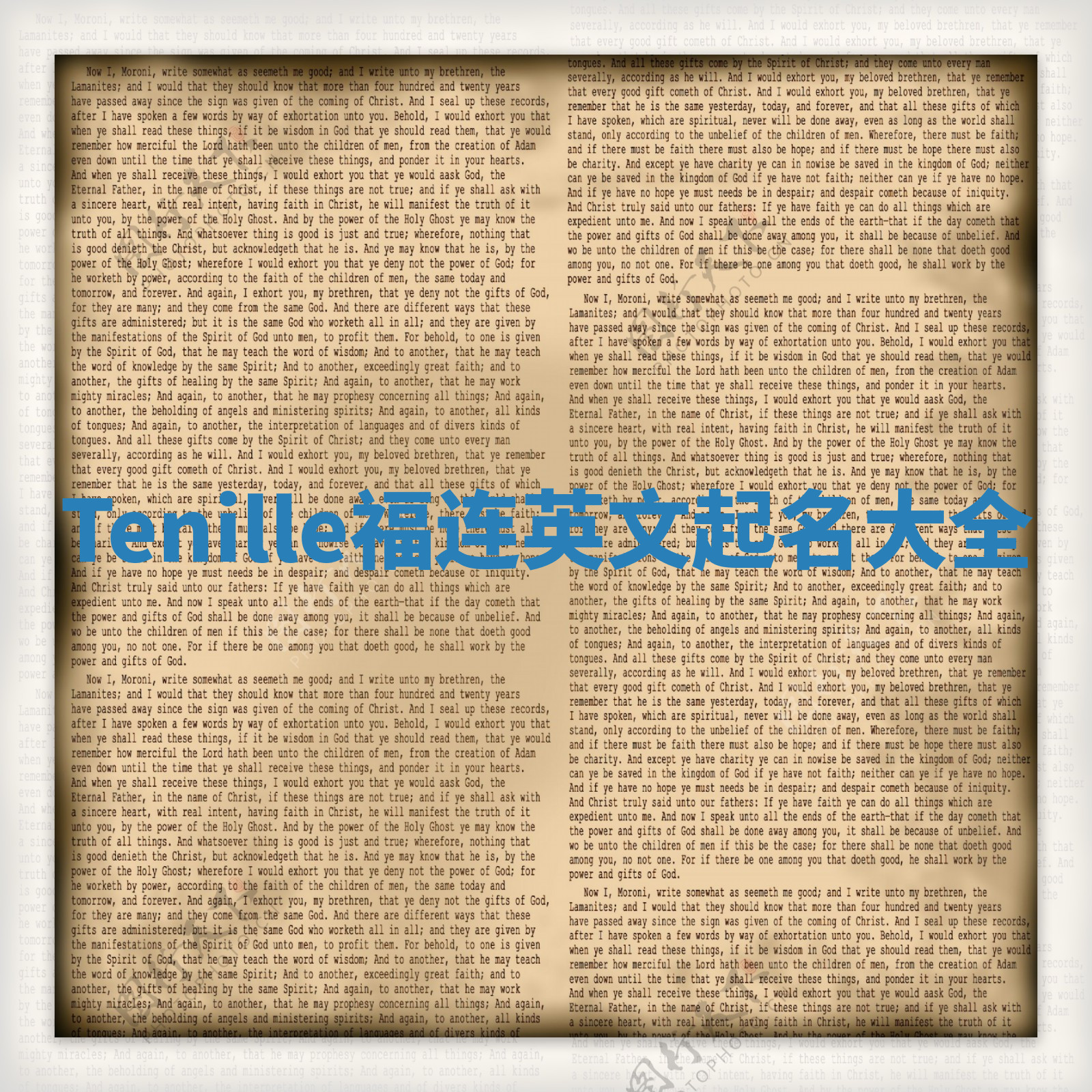 Tenille福连英文起名大全