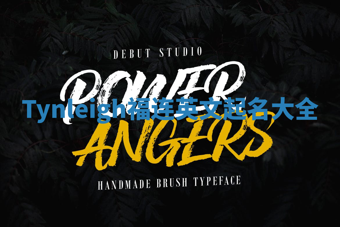 Tynleigh福连英文起名大全