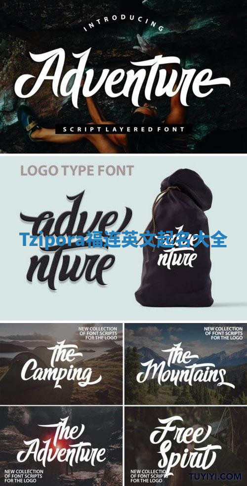 Tzipora福连英文起名大全