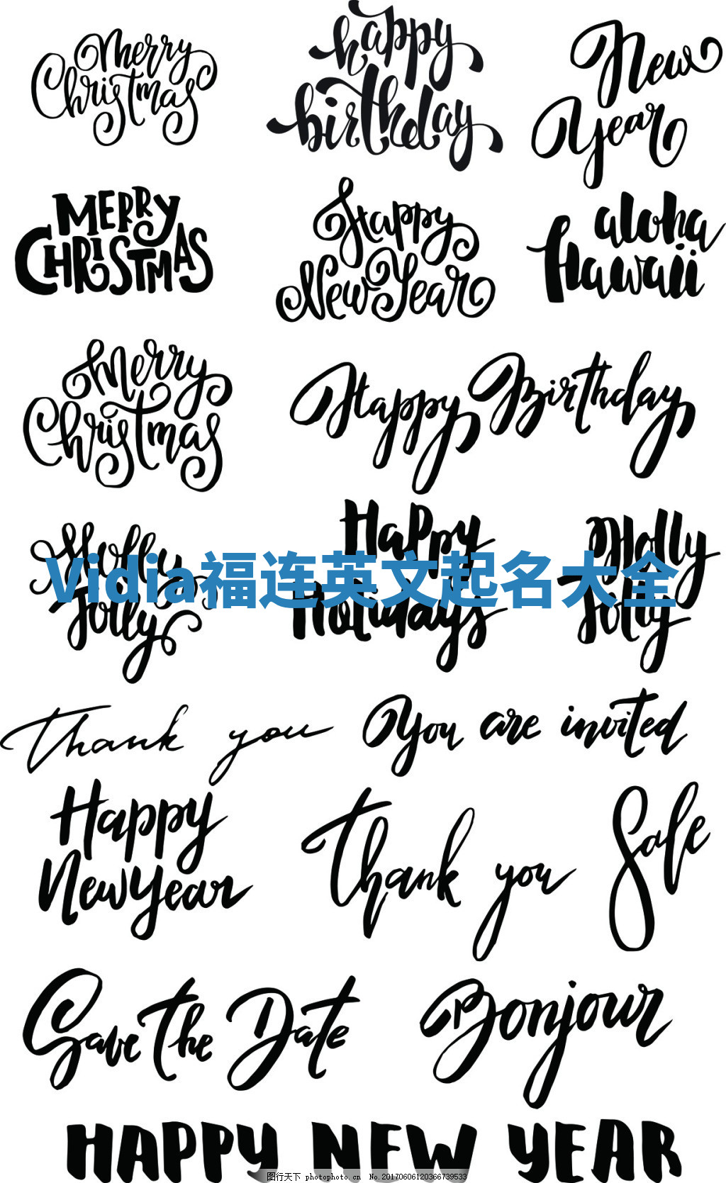 Vidia福连英文起名大全