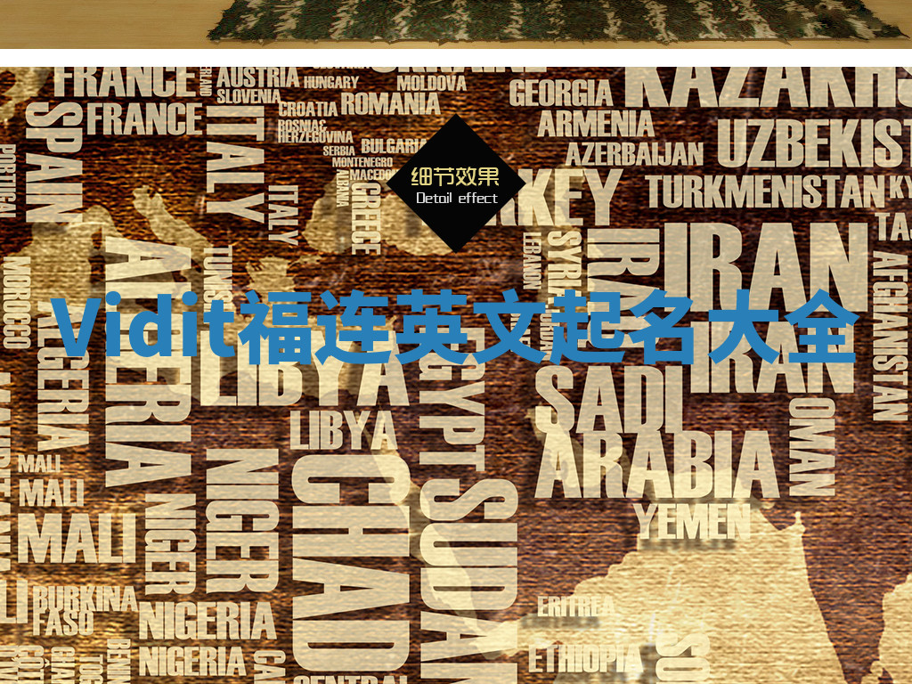 Vidit福连英文起名大全