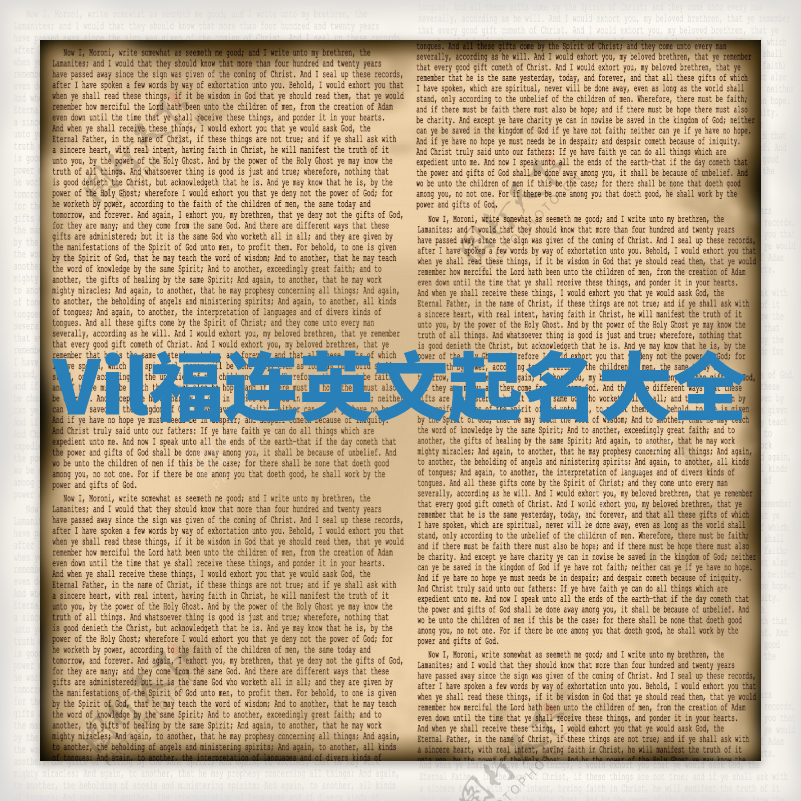 Vil福连英文起名大全