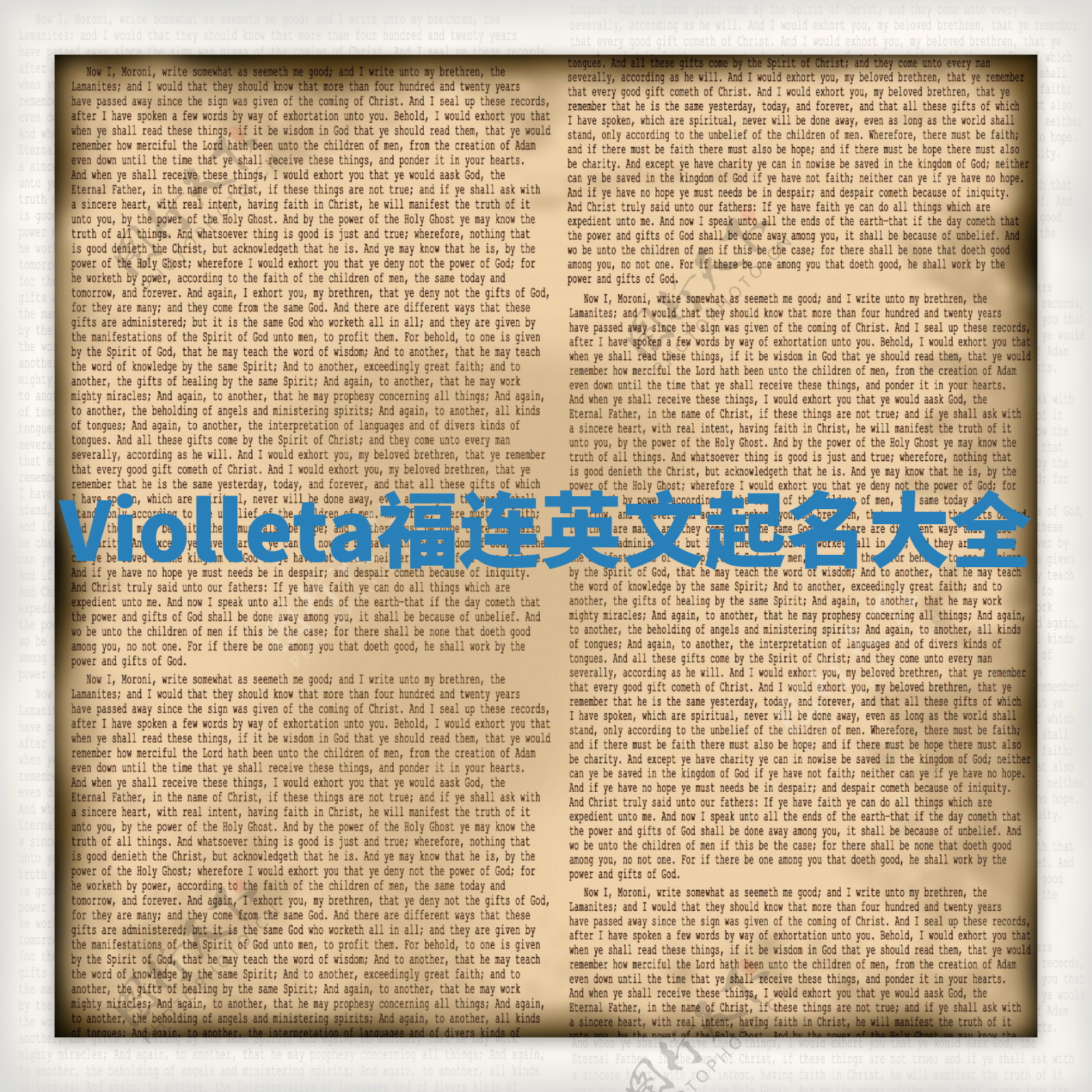 Violleta福连英文起名大全