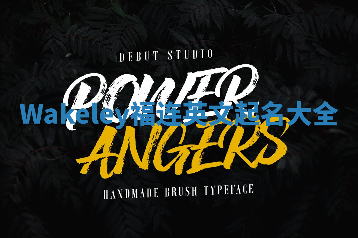 Wakeley福连英文起名大全