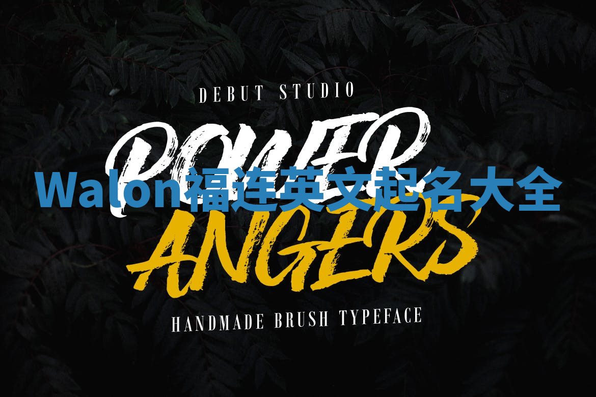 Walon福连英文起名大全