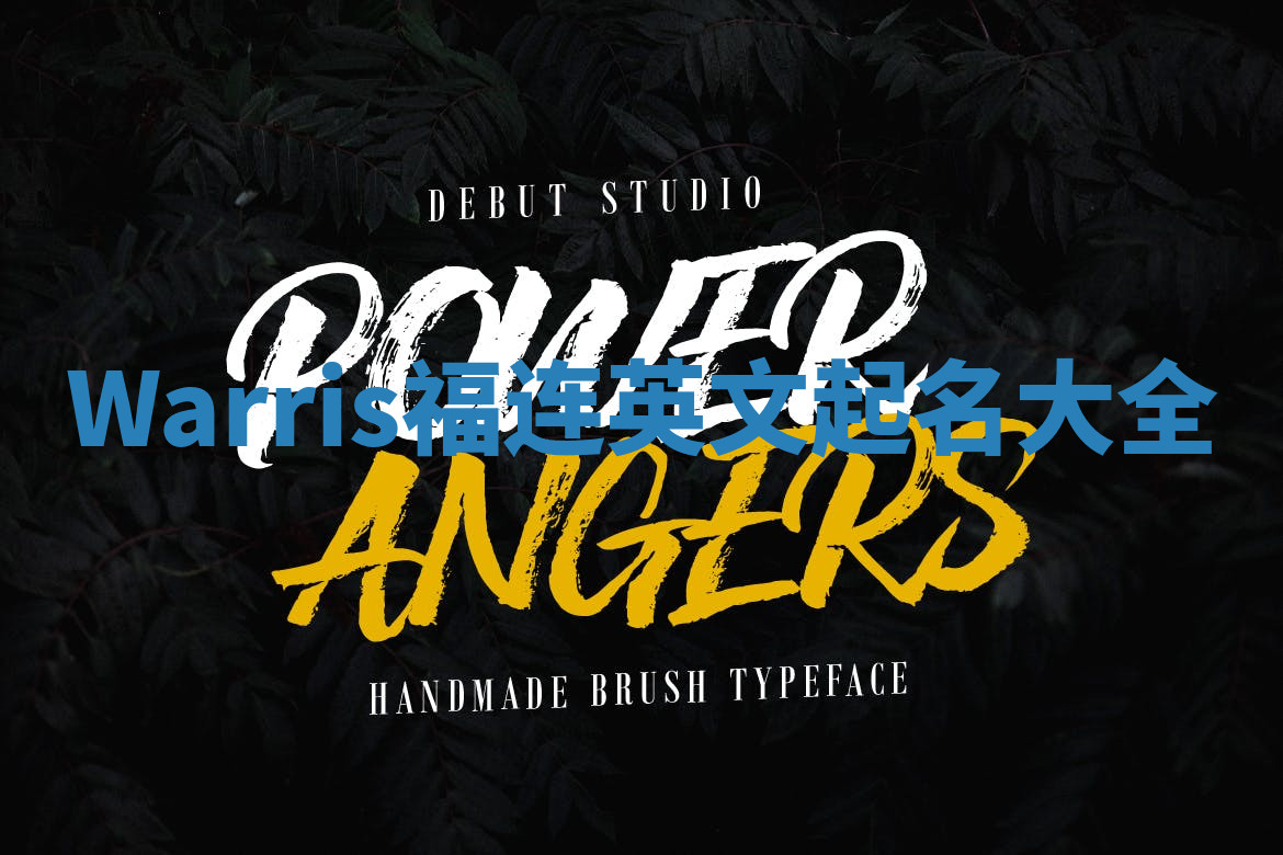 Warris福连英文起名大全