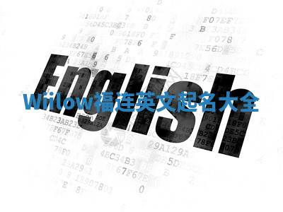 Wiilow福连英文起名大全