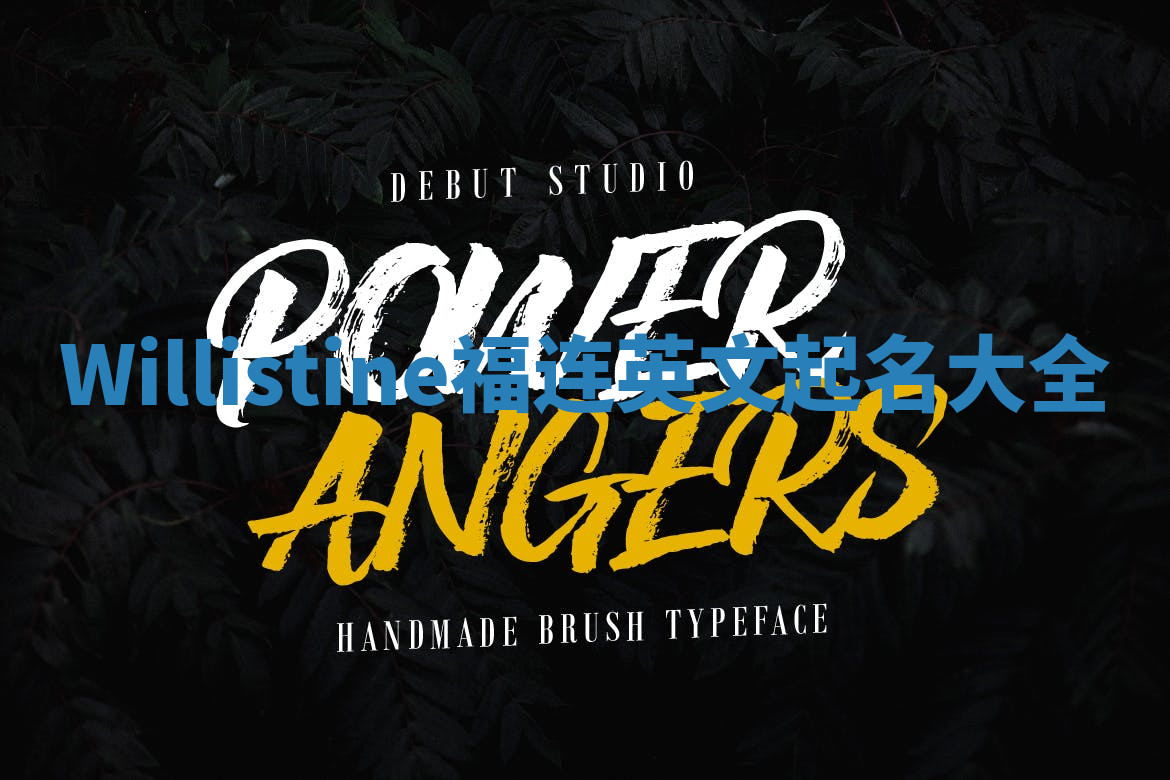 Willistine福连英文起名大全