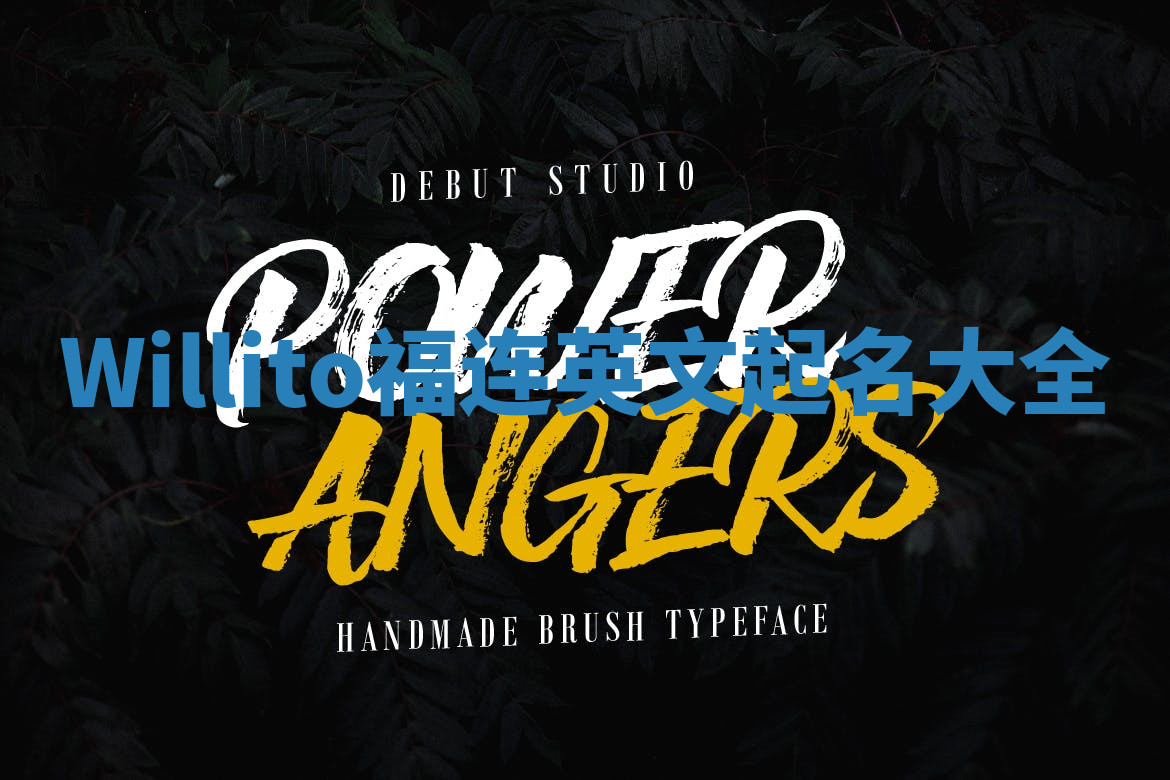 Willito福连英文起名大全