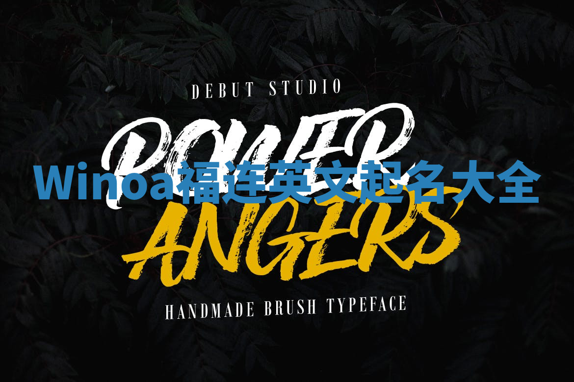 Winoa福连英文起名大全