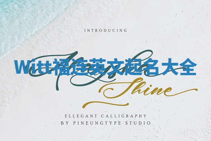 Witt福连英文起名大全