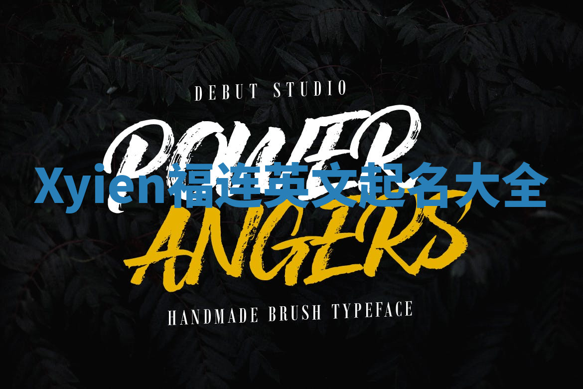 Xyien福连英文起名大全