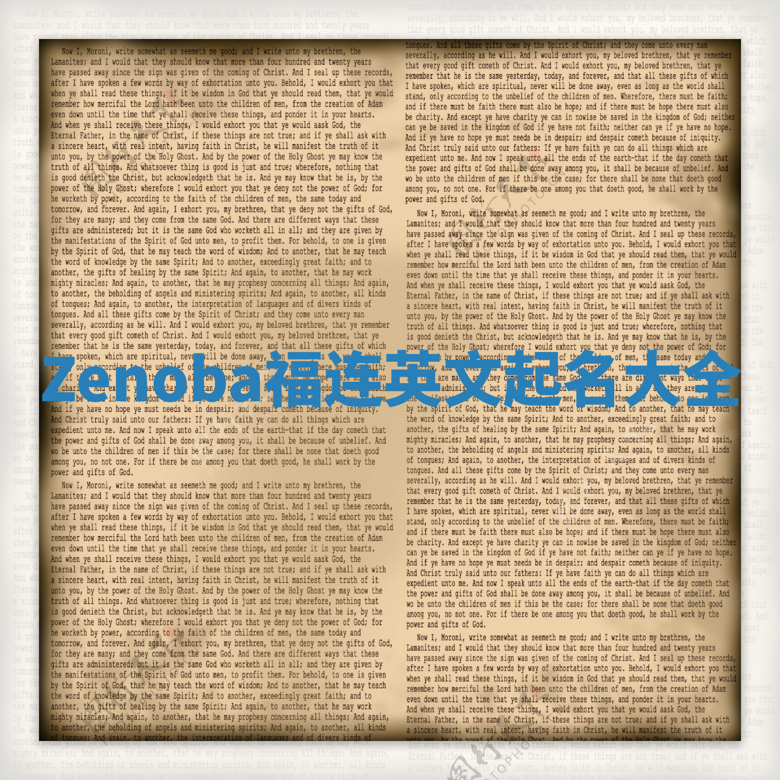 Zenoba福连英文起名大全