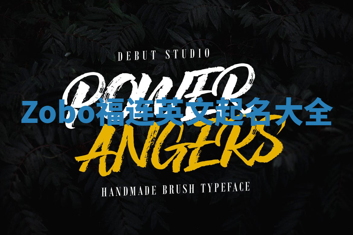 Zobo福连英文起名大全